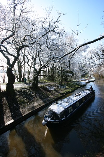 Cold Cruise.jpg